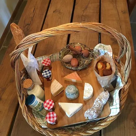 Gypsy Nature B&B Bed & Breakfast